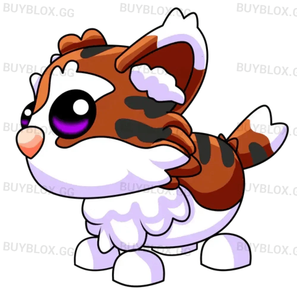Munchkin Cat