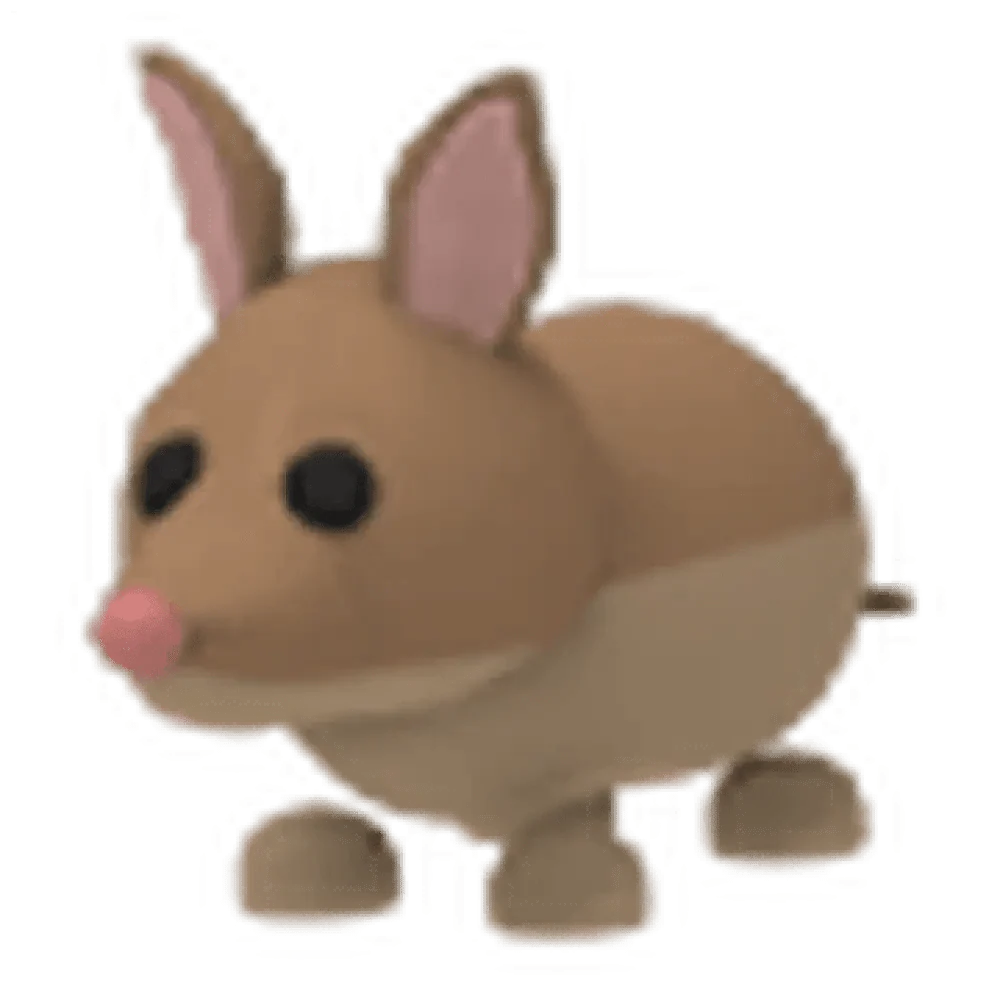 NFR Bandicoot