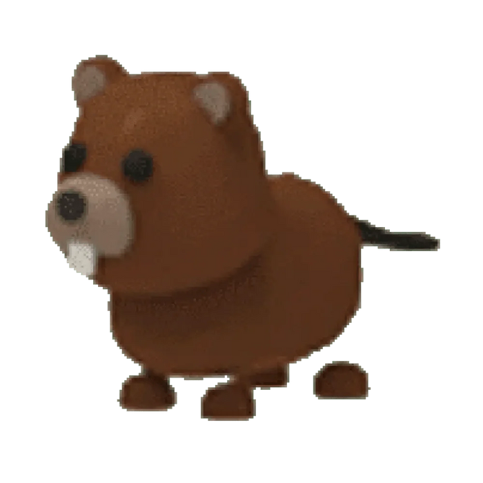 NFR Beaver