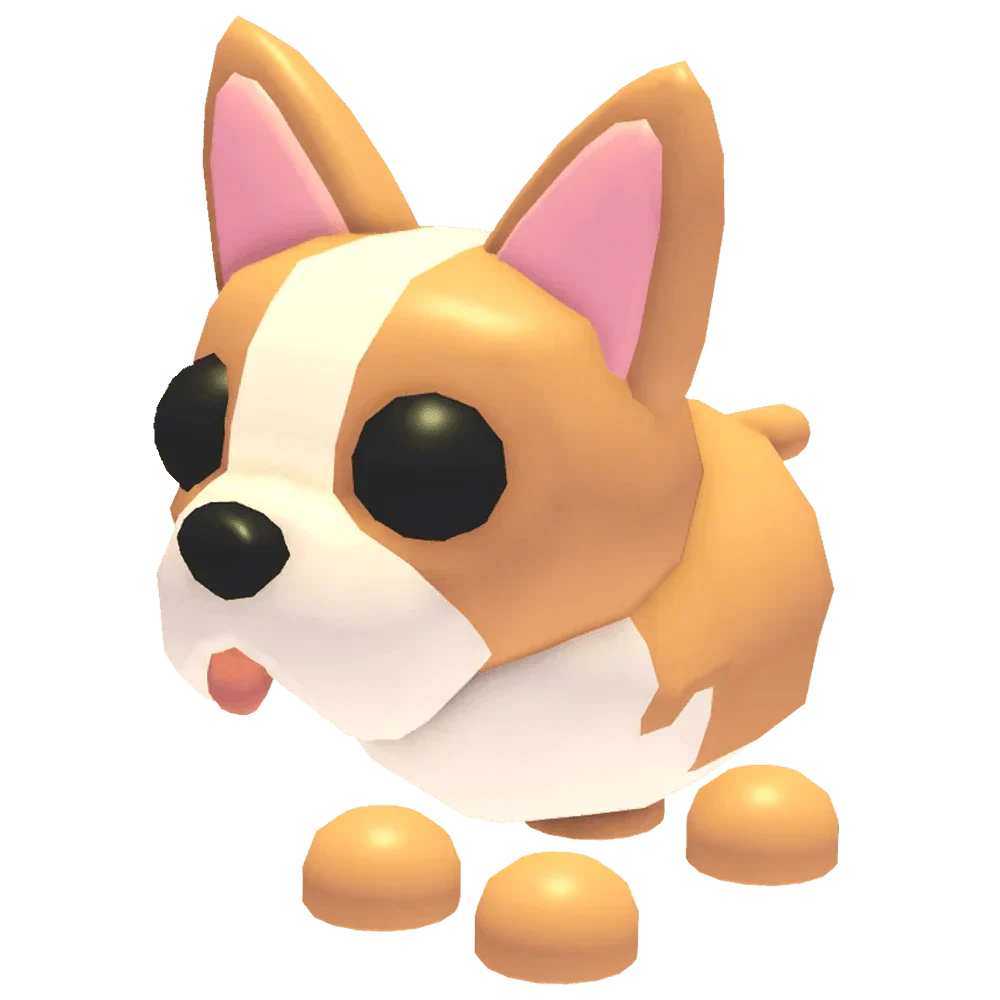 NFR French Bulldog