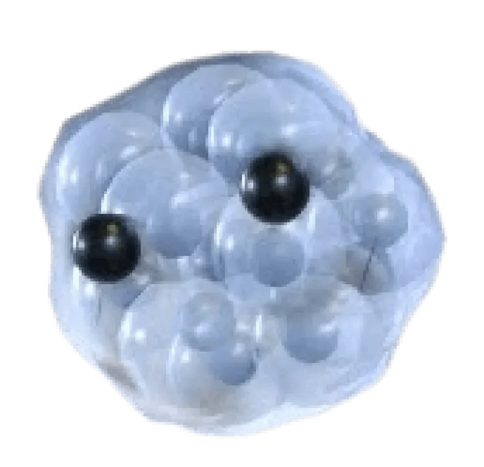 NFR Frogspawn