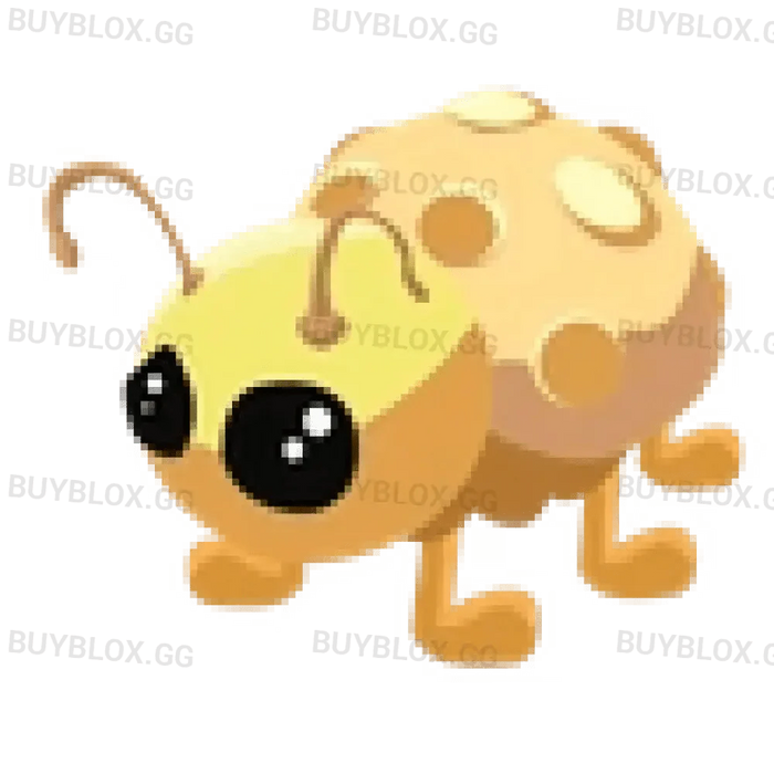 NFR Golden Ladybug
