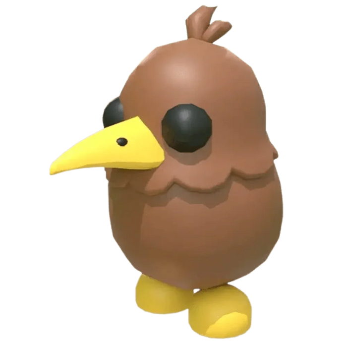 NFR Kiwi