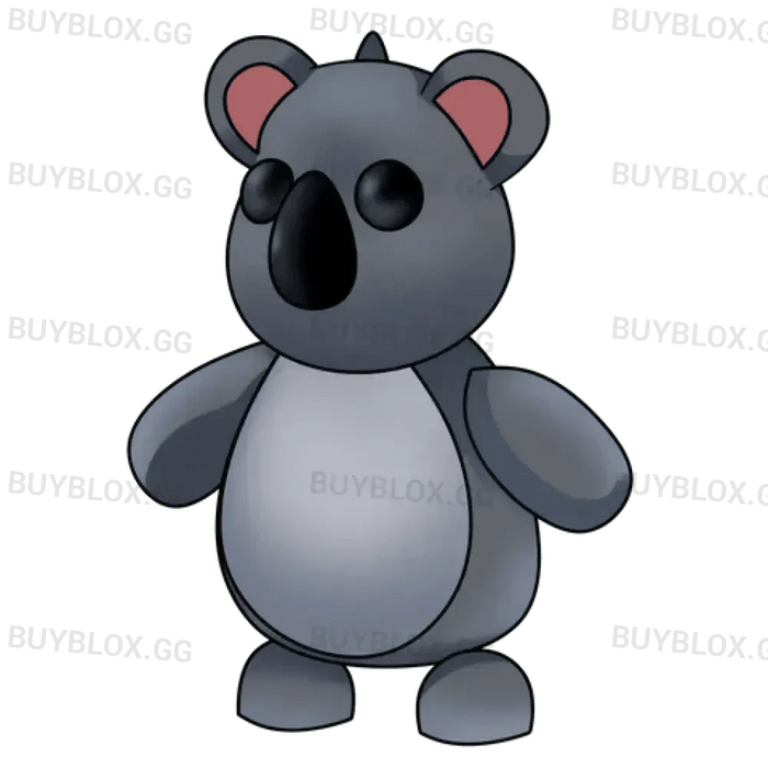 NFR Koala