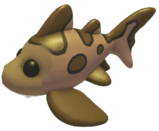 NFR Leopard Shark