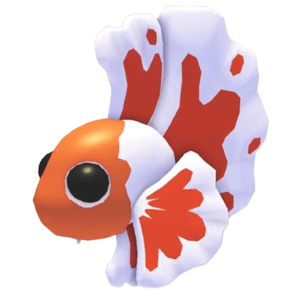 NFR Orange Betta Fish