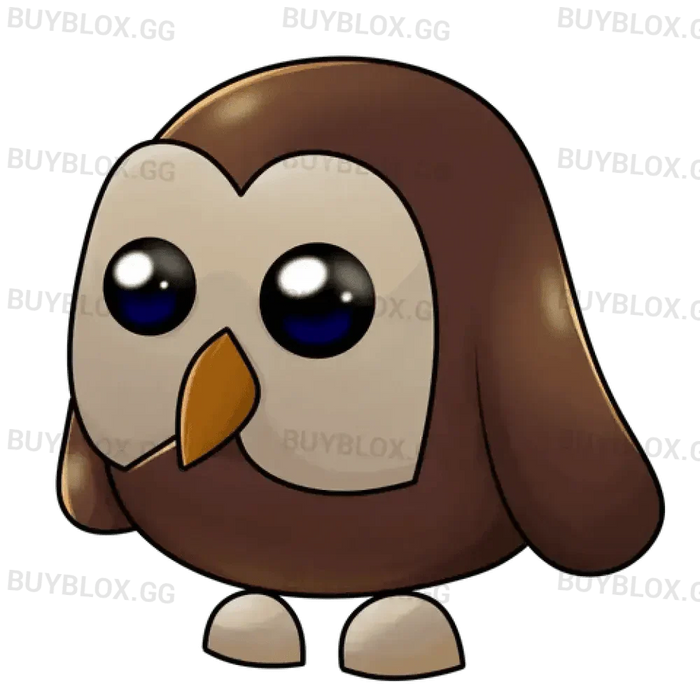 NFR Owl