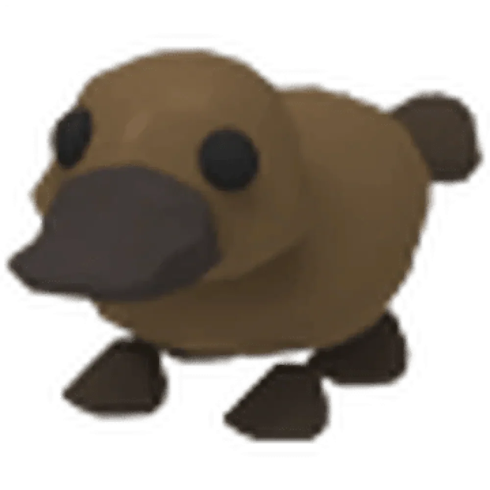 NFR Platypus