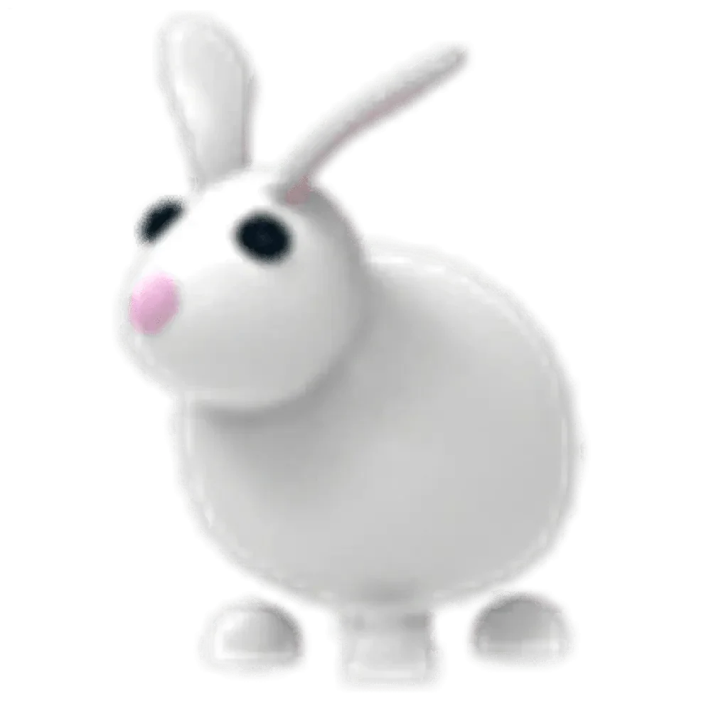 NFR Rabbit