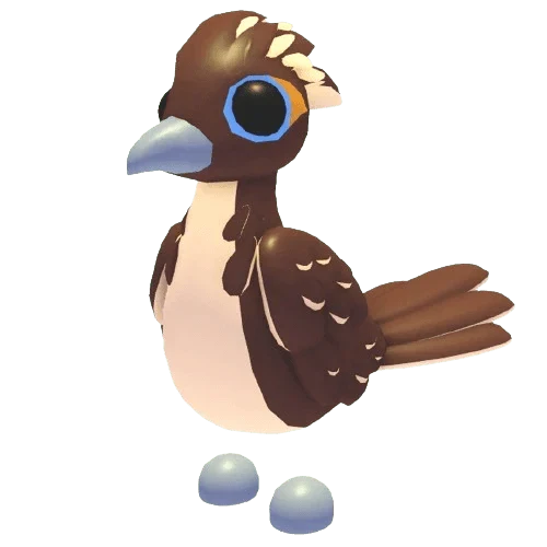 NFR Roadrunner