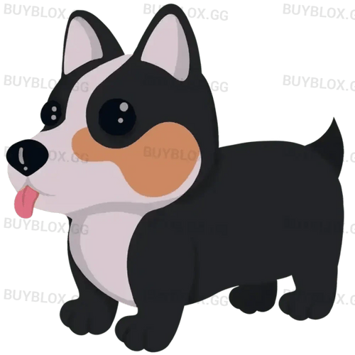 NFR Royal Corgi