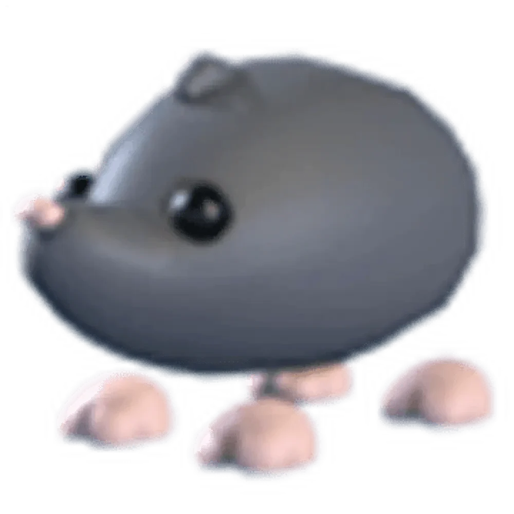 NFR Sado Mole