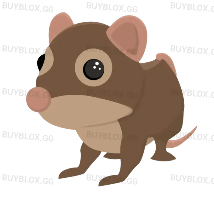 NFR Shrew