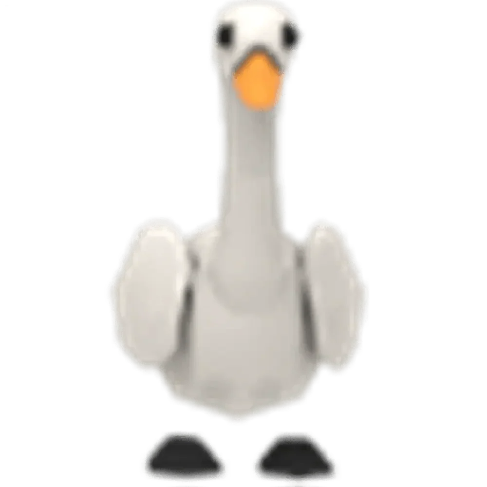 NFR Swan