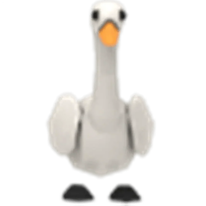 NFR Swan