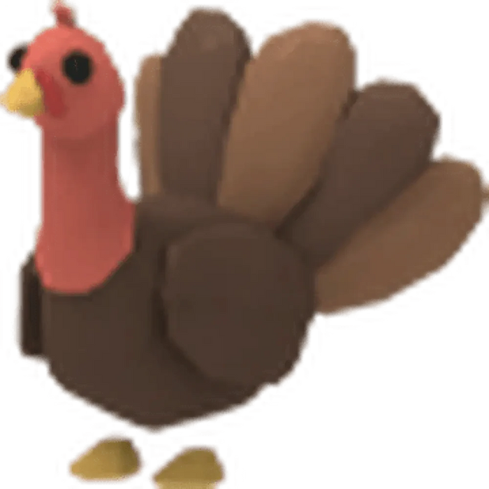 NFR Turkey