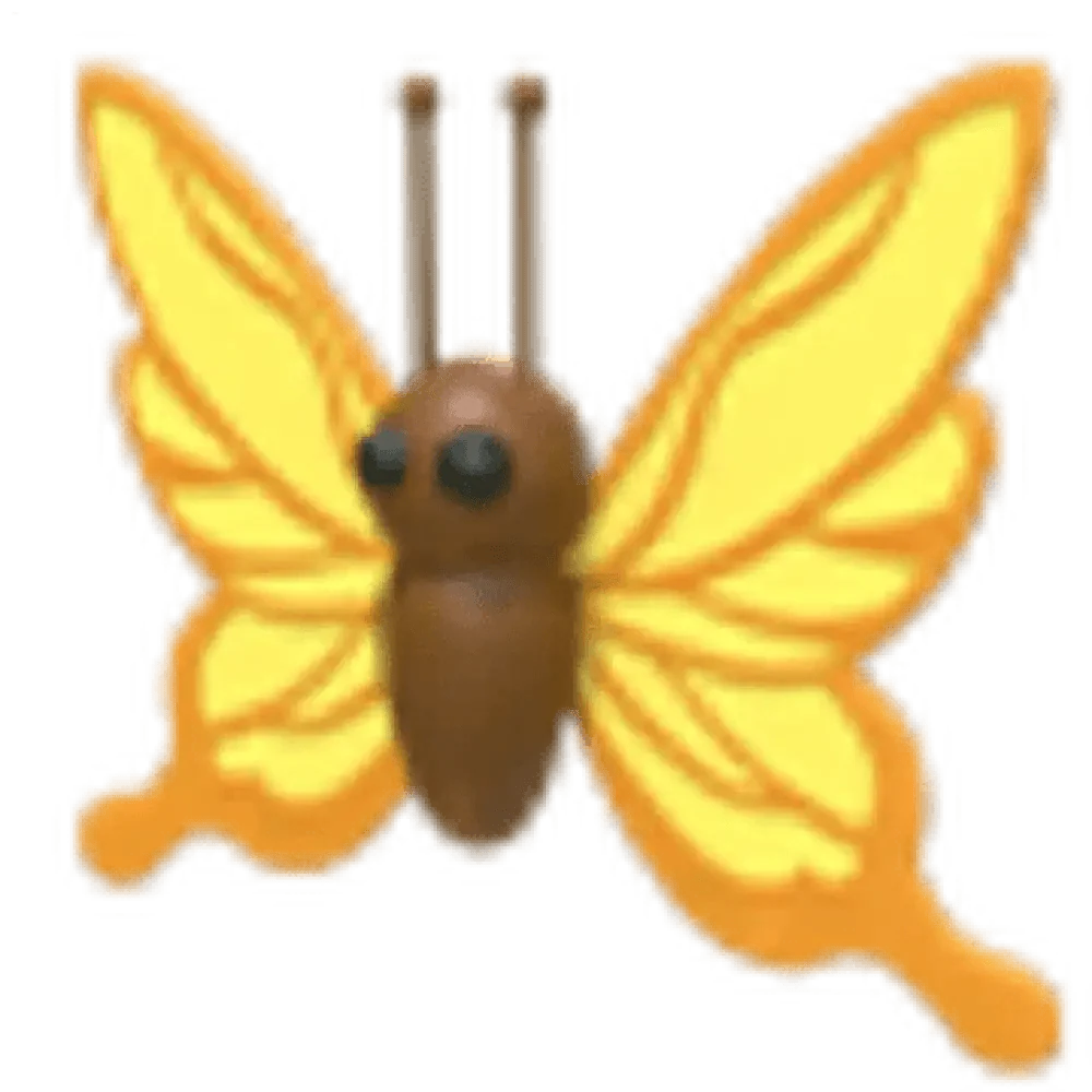 NFR Yellow Butterfly