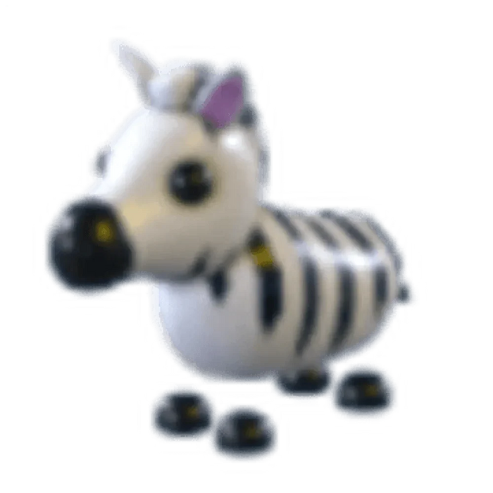 NFR Zebra