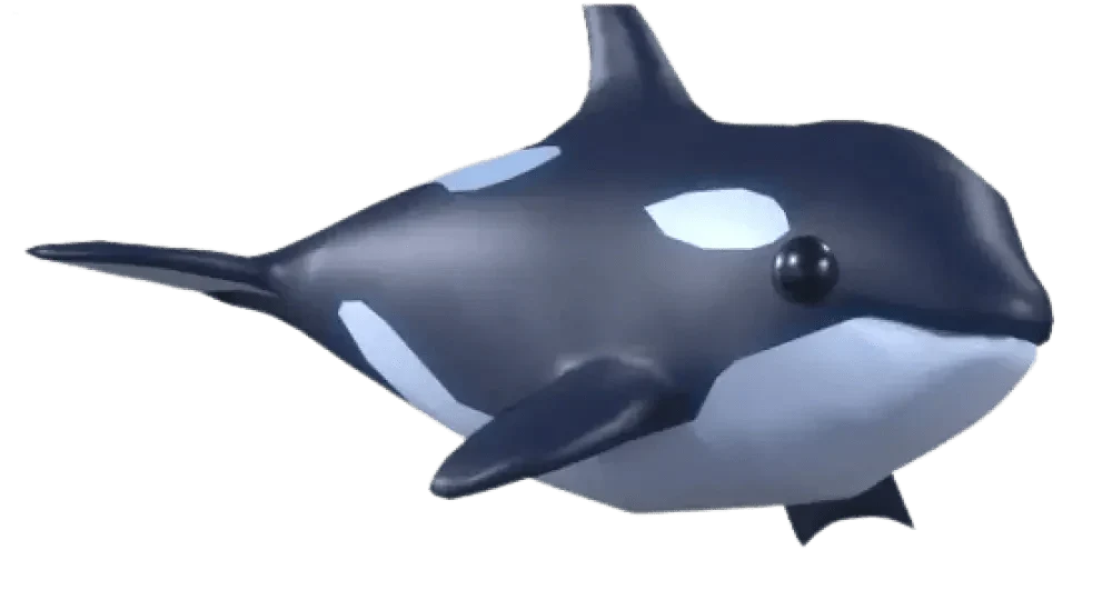 Orca