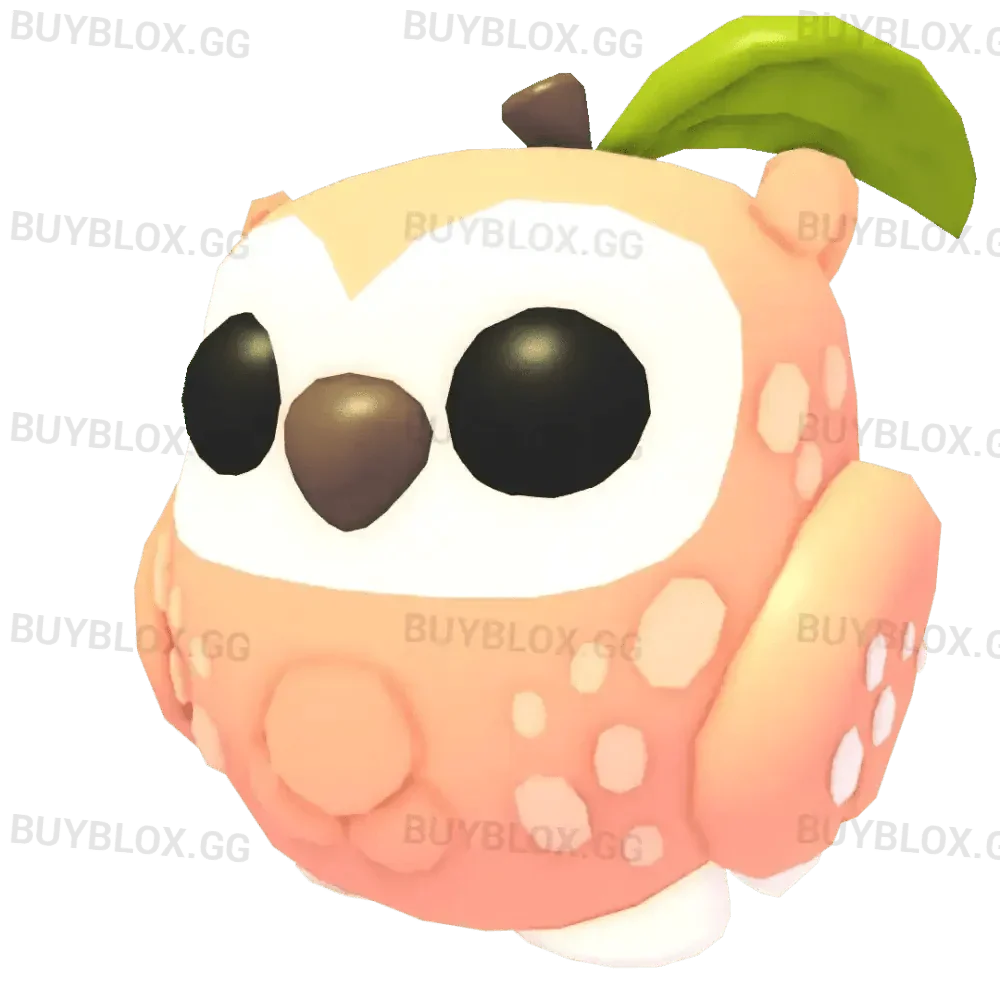 Peach Owl