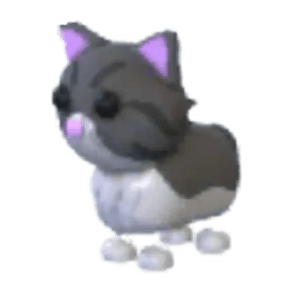 Persian Cat