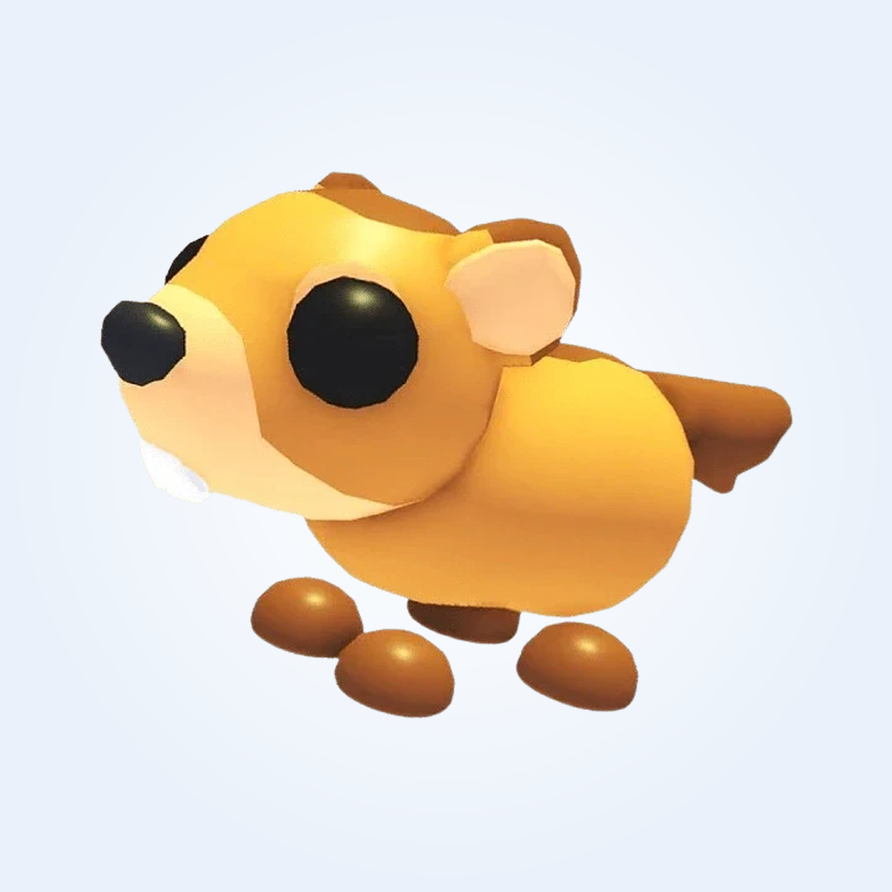 Groundhog