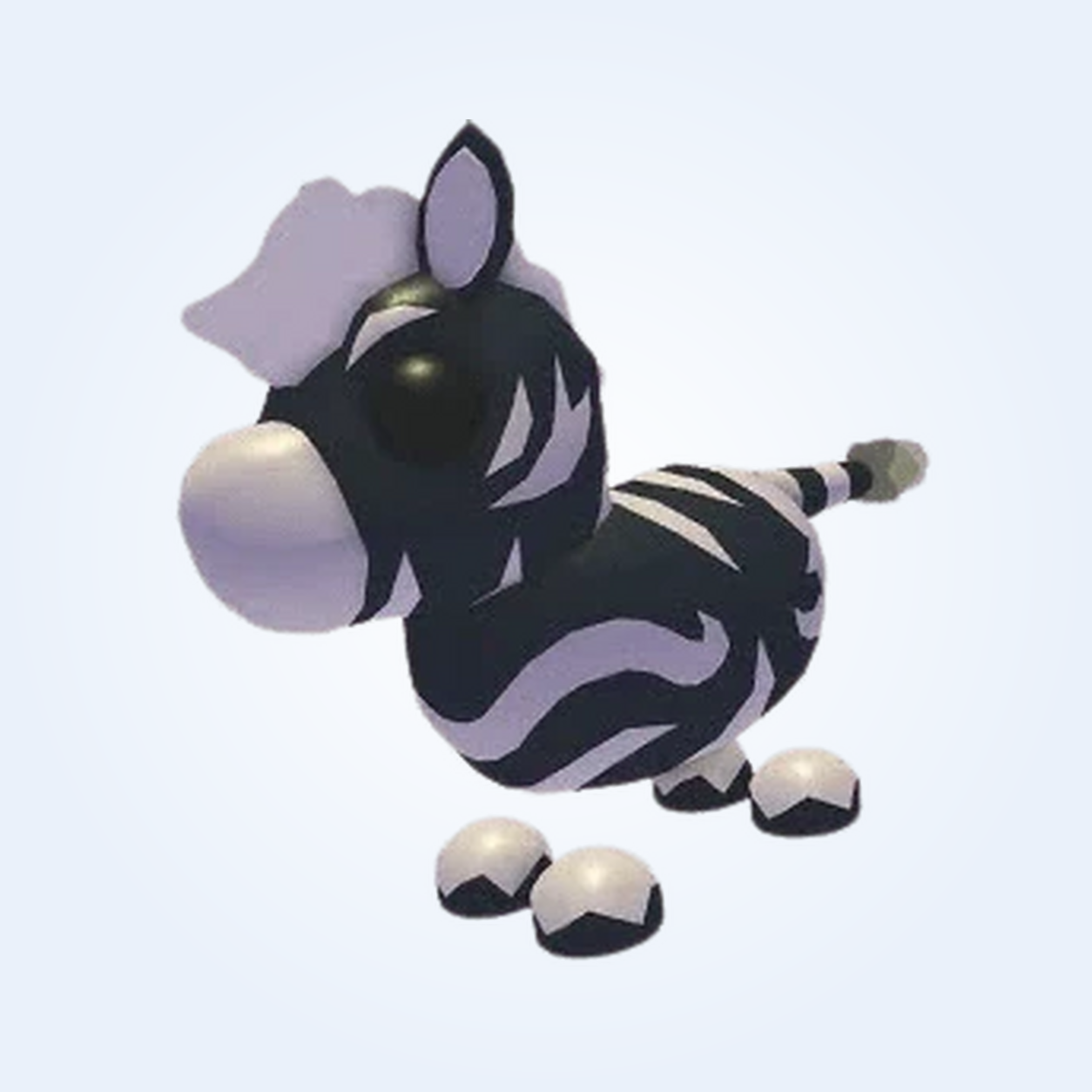 MFR Ash Zebra
