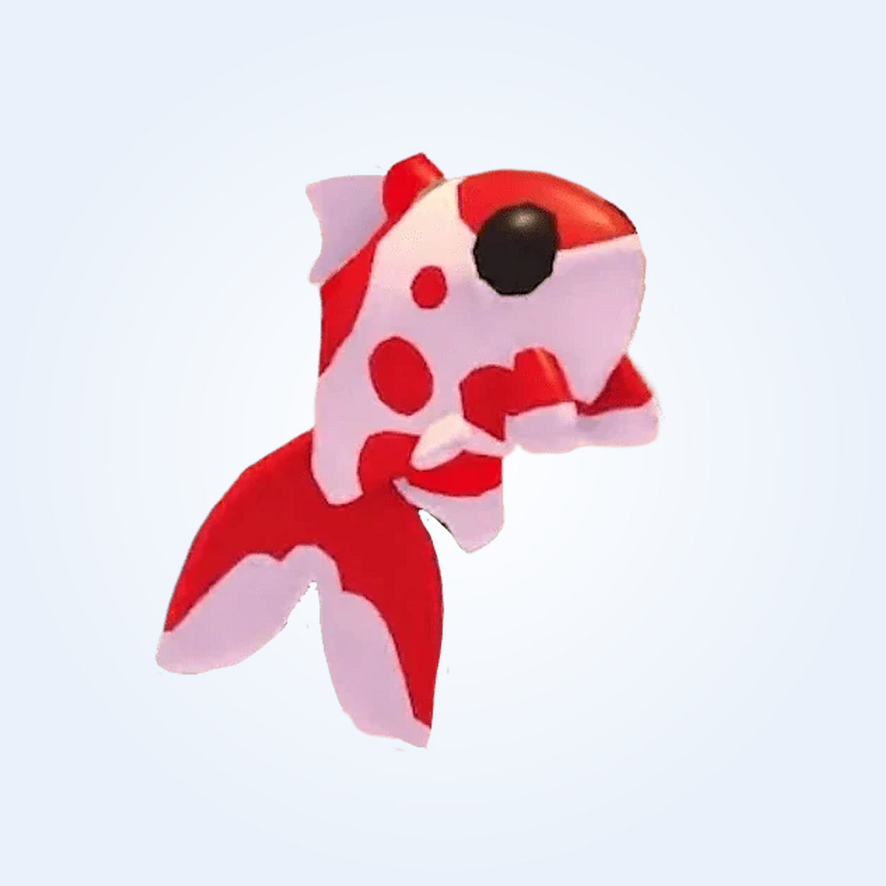 MFR Koi Carp