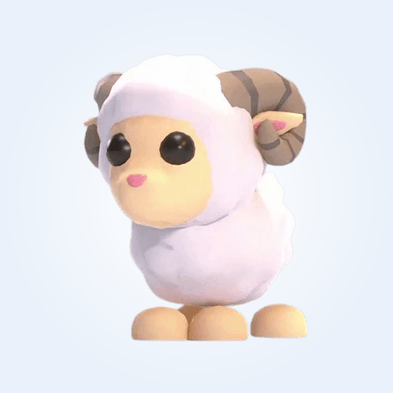 NFR Ram