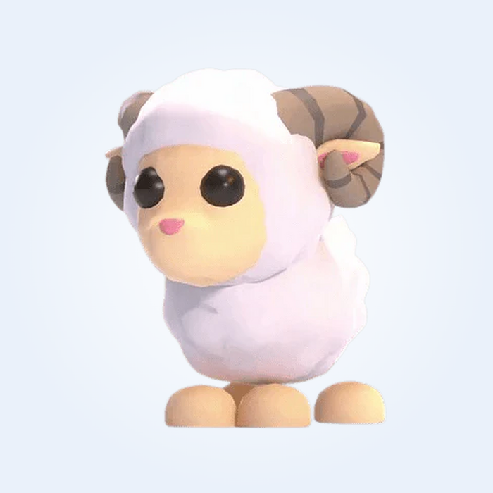NFR Ram