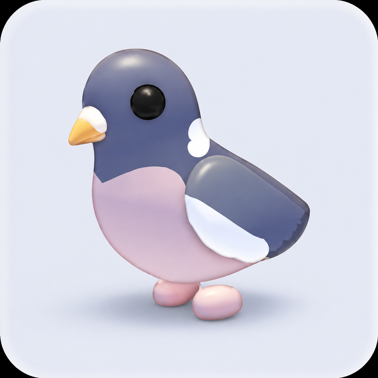 Wood Pigeon