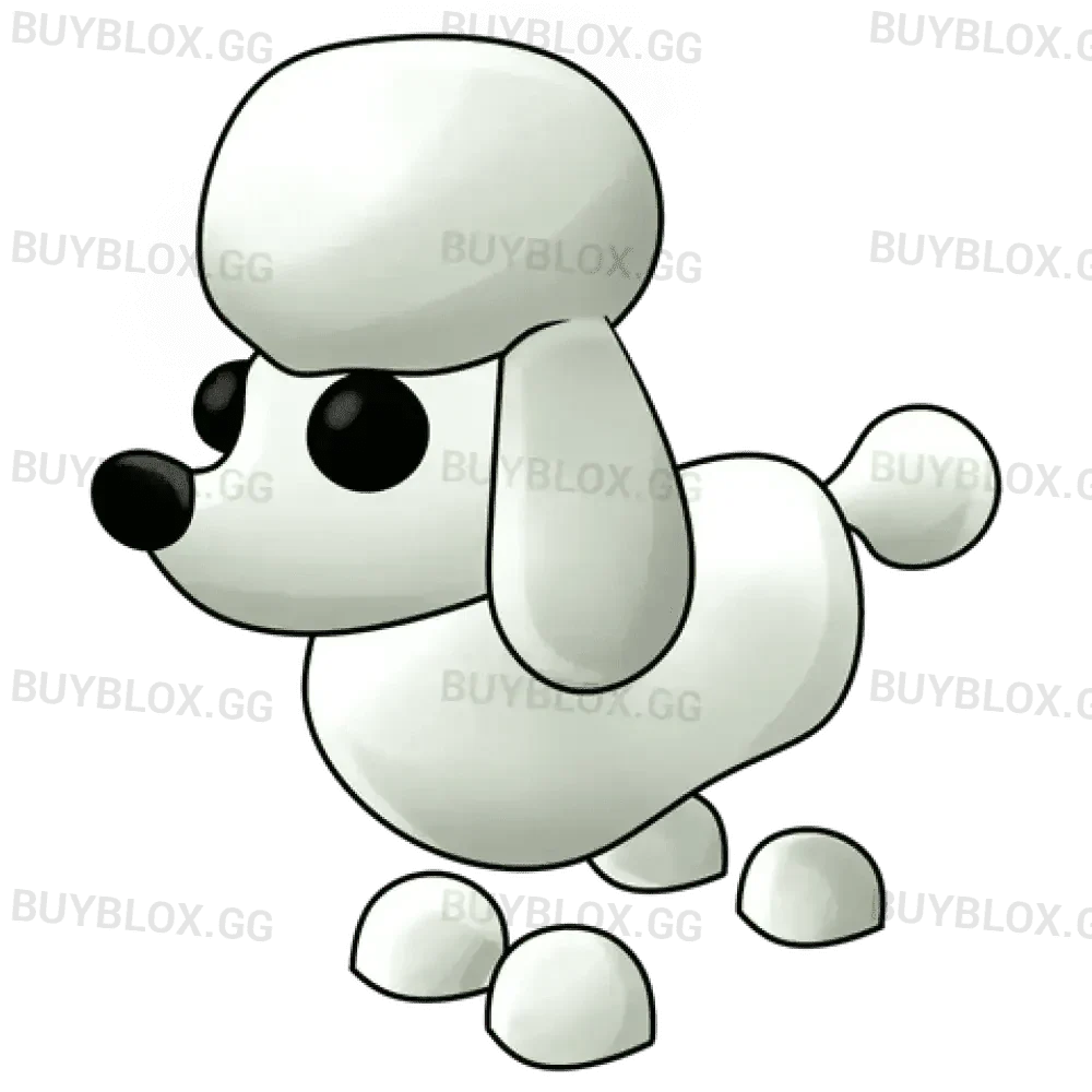 Poodle