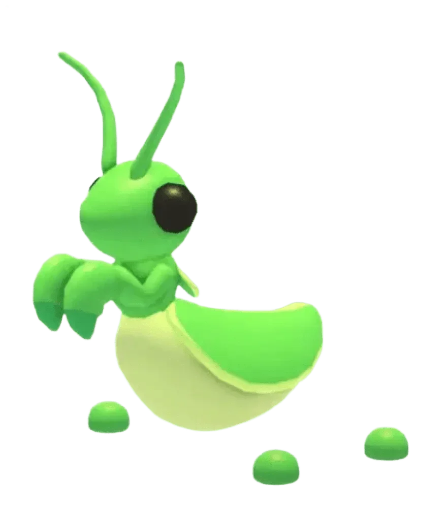 Praying Mantis