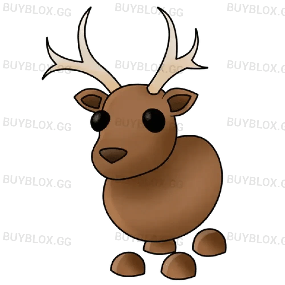 Reindeer