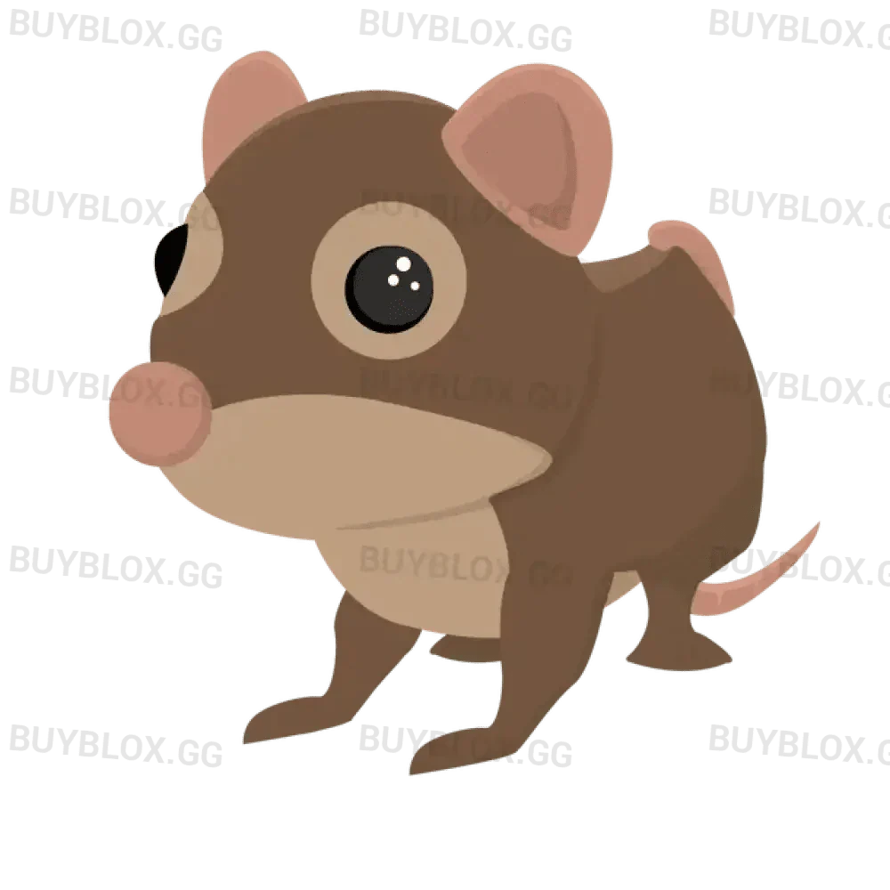 Shrew