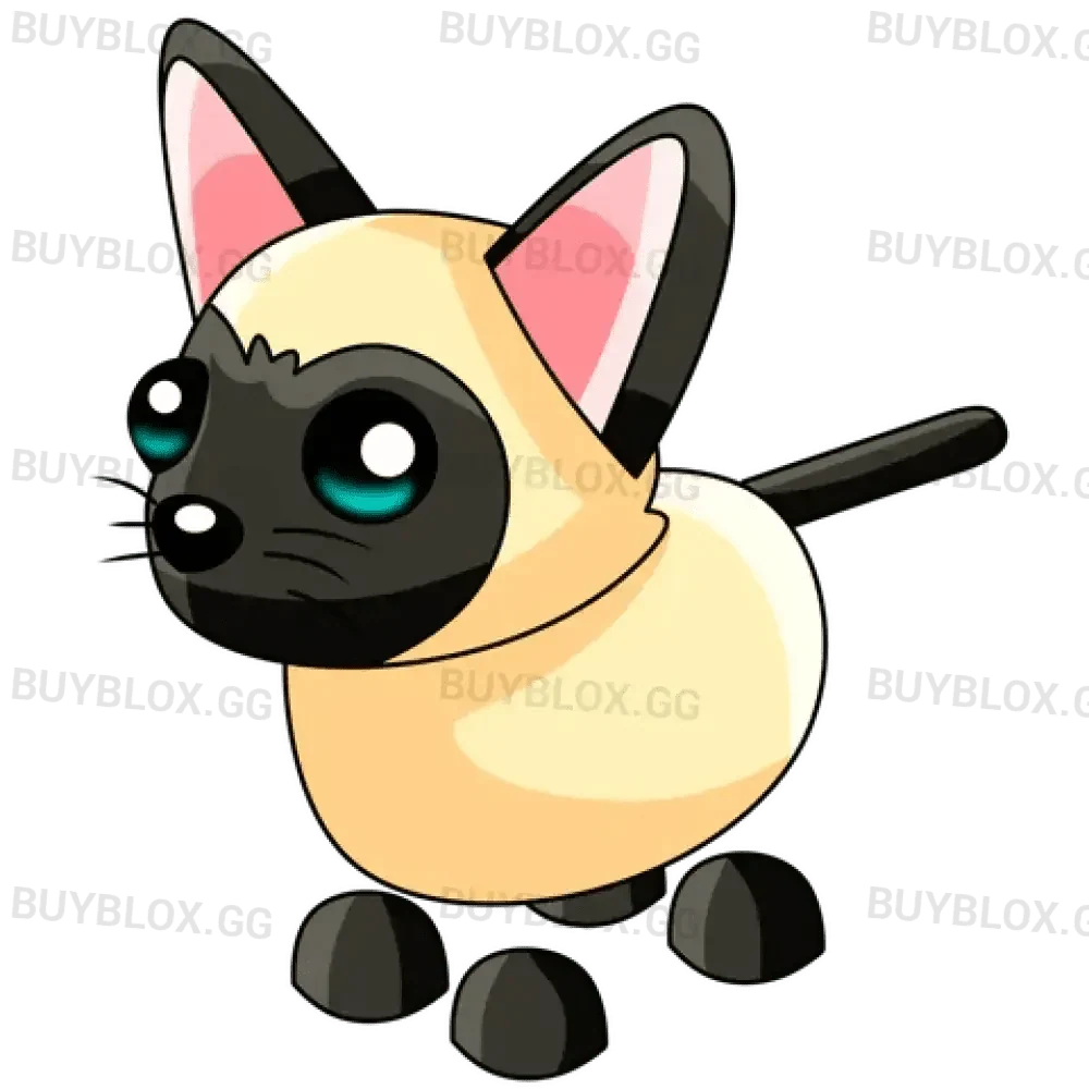 Siamese Cat
