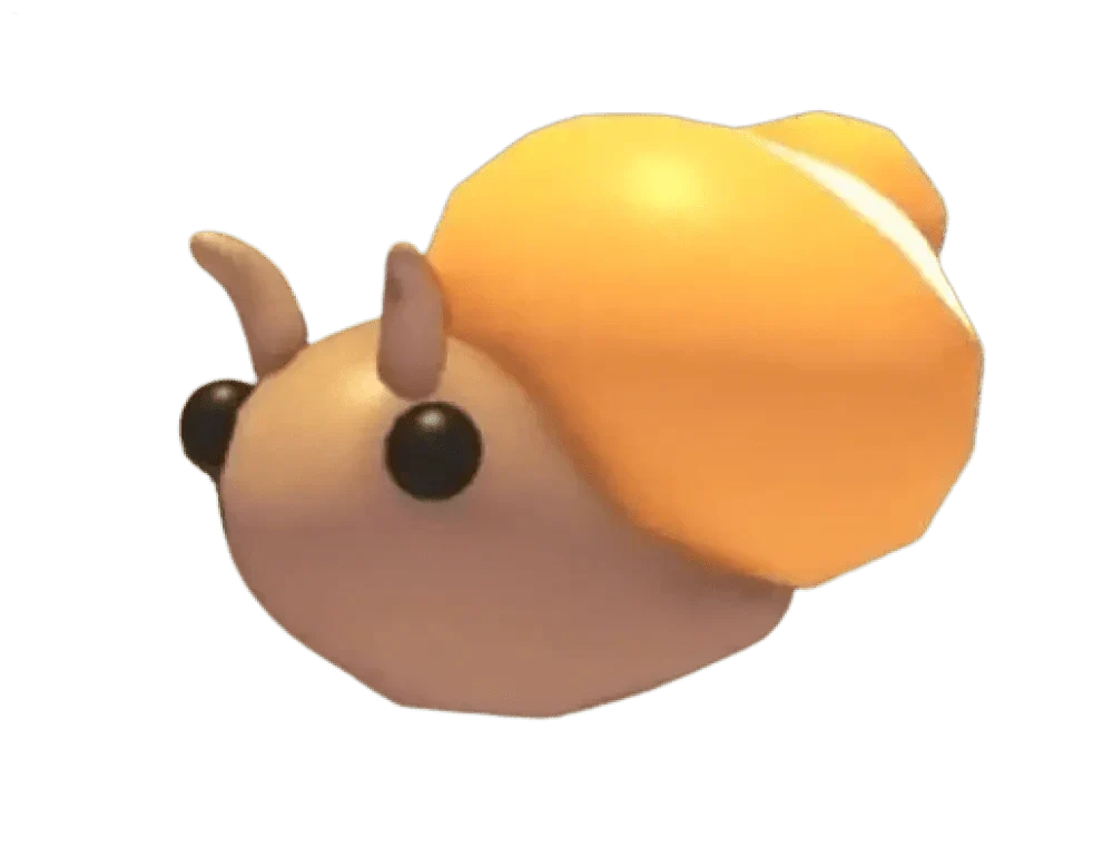 Trapdoor Snail